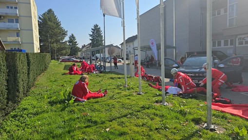 Regijska vaja ekip PP