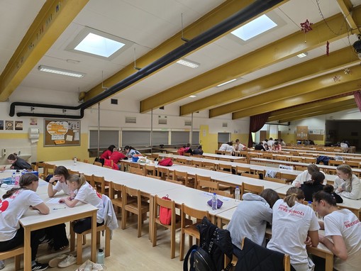 PISNI-DEL